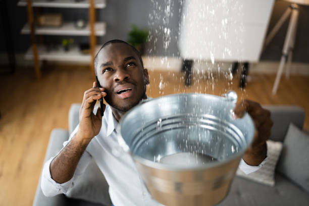 Best Residential water damage restoration  in Waldo, AR