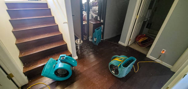 Best Flood restoration services  in Waldo, AR
