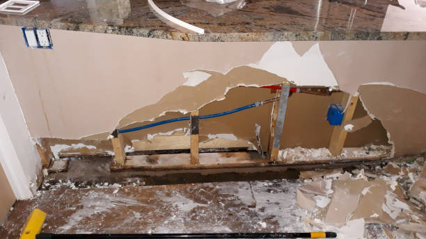Best Water damage contractors near me  in Waldo, AR
