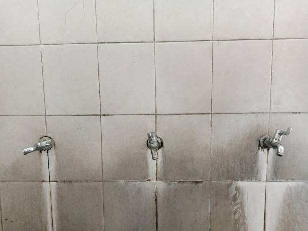 Best Commercial water damage restoration  in Waldo, AR