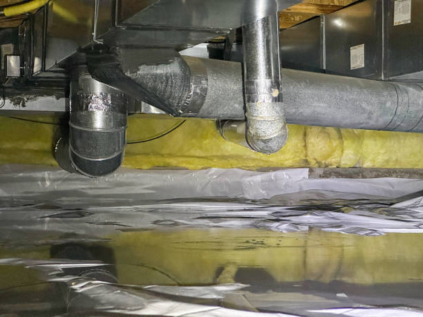  Waldo, AR Water damage restoration Pros