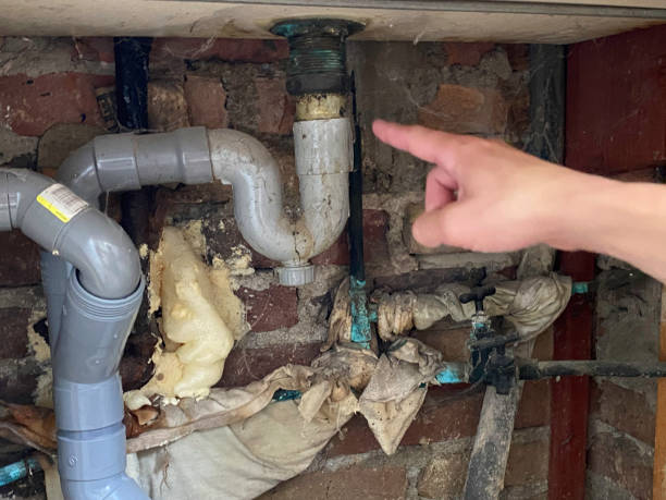 Best Water damage restoration process  in Waldo, AR