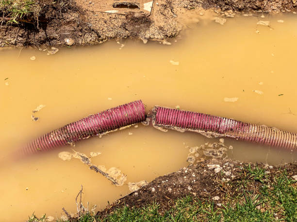 Sewage cleanup and water damage restoration in AR